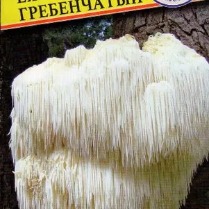 

Ежевик гребенчатый (Ямабуши) 12 палочек, Семена Престиж