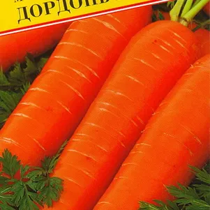 

Морковь Дордонь F1 на ленте 6 м, Семена Престиж