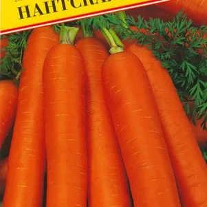 

Морковь Нантская 4 на ленте 8 м, Семена Престиж