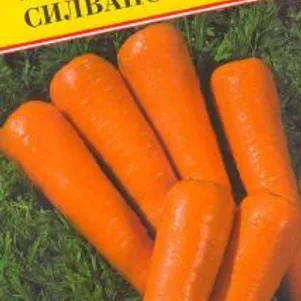 

Морковь Силвано F1 на ленте 6 м, Семена Престиж