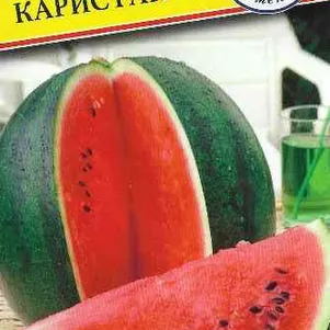Арбуз Каристан F1 3 шт Семена Престиж 83₽