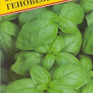 Базилик Геновезе 05 г Семена Престиж 21₽