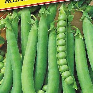 

Горох Женева 4 г, Семена Престиж