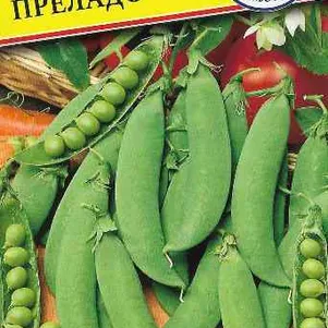 

Горох Преладо 4 г, Семена Престиж
