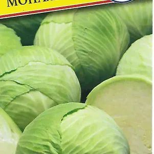 

Капуста Монализа F1 белокочанная 10 шт, Семена Престиж