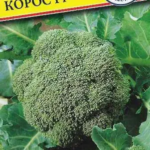 

Брокколи Корос F1 10 шт, Семена Престиж