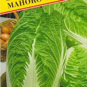 

Пекинская капуста Маноко F1 10 шт, Семена Престиж