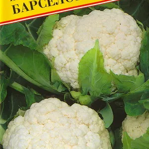 

Цветная капуста Барселона F1 10 шт, Семена Престиж