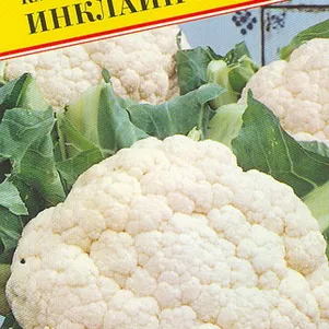 

Цветная капуста Инклайн F1 10 шт, Семена Престиж