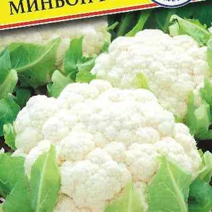 

Цветная капуста Миньон F1 10 шт, Семена Престиж