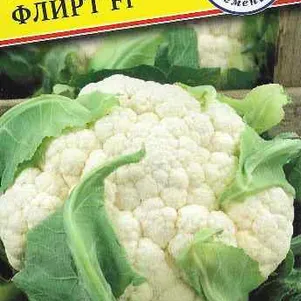 

Цветная капуста Флирт F1 10 шт, Семена Престиж