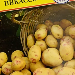 Картофель Пикассо 005 г Семена Престиж 34₽