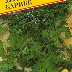 Кинза Кориандр Карибе 1 г Семена Престиж 25₽