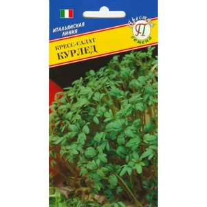 

Кресс-салат Курлед 0,5 г, Семена Престиж