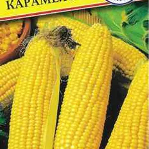 

Кукуруза Карамело сладкая F1 15 шт, Престиж