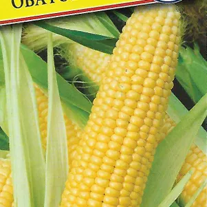 Кукуруза Оватонна F1 сладкая 10 шт Семена Престиж 51₽