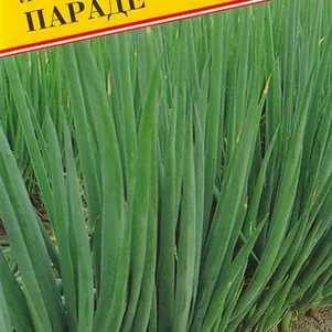 

Лук Батун Параде 0,5 г, Семена Престиж