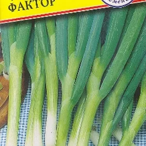 

Лук Батун Фактор 0,5 г, Семена Престиж