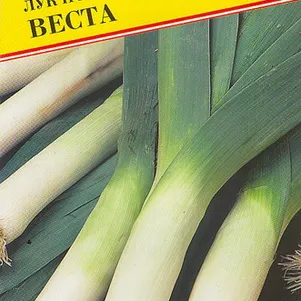 

Лук Порей Веста 0,2 г, Семена Престиж