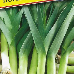 

Лук Порей Порбелла F1 0,2 г, Семена Престиж