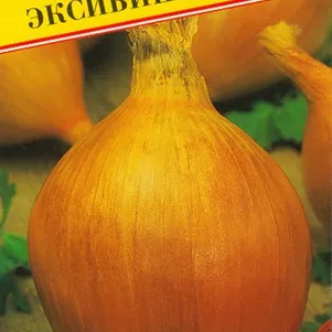 Лук репчатый Эксибишен 05 г Семена Престиж 85₽