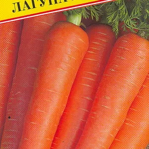 

Морковь Лагуна F1 0,5 г, Семена Престиж