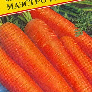 

Морковь Маэстро F1 0,5 г, Семена Престиж