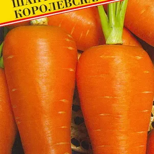 

Морковь Шантенэ Королевская 1 г, Семена Престиж