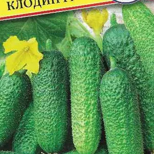 

Огурец Клодин F1 5 шт, Семена Престиж