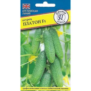

Огурец Платон F1 5 шт, Семена Престиж