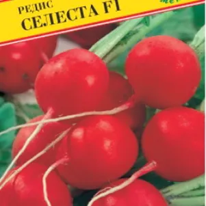 

Редис Селеста F1 1 г, Семена Престиж