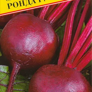 

Свекла Ронда F1 столовая 1 г, Семена Престиж