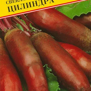 

Свекла Цилиндра столовая 1 г, Семена Престиж