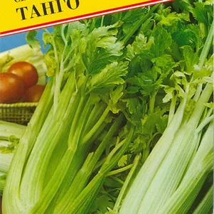 

Сельдерей черешковый Танго 0,3 г, Семена Престиж