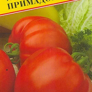 

Томат Примадонна F1 10 шт, Семена Престиж
