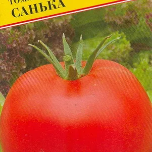 

Томат Санька 10 шт, Семена Престиж