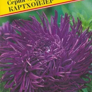 

Астра Краллен Картхойзер 0,3 г, Семена Престиж