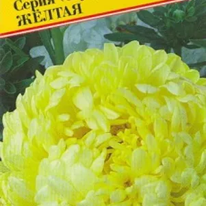 

Астра Тауэр Жёлтая 0,3 г, Семена Престиж