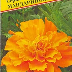 

Бархатцы Дюранго Мандариновые (РС-1) отклонённые 10 шт, Семена Престиж