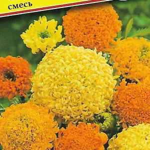 

Бархатцы Спун смесь 20 шт, Семена Престиж