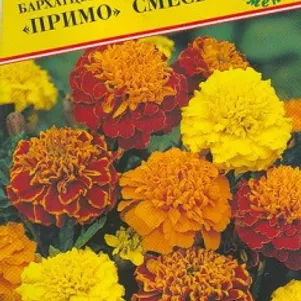 

Бархатцы Примо Смесь отклоненные 20 шт, Семена Престиж