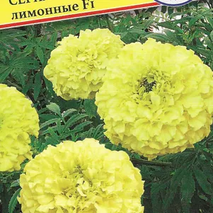 

Бархатцы Антигуа F1 Лимонные прямостояие 5 шт, Семена Престиж