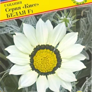 

Гацания Белая F1 (серия Кисс) 5 шт, Семена Престиж