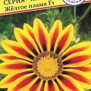 

Гацания Жёлтое пламя F1 Кисс 5 шт, Семена Престиж