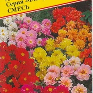 

Георгина Фигаро Смесь гибридная 7 шт, Семена Престиж