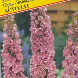 

Дельфиниум Астолат (Тихоок.великаны) 0,05 г, Семена Престиж