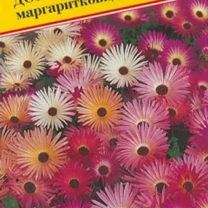 

Доротеантус маргаритковый Смесь 0,1 г, Семена Престиж