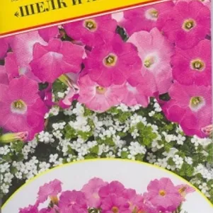 

Мультисмесь Шелк и атлас 2 др, Семена Престиж