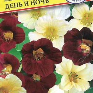 

Настурция большая День и ночь 1 г, Семена Престиж