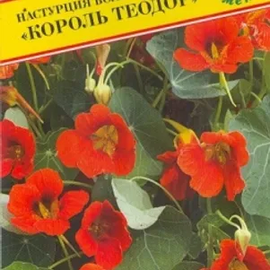 

Настурция большая Король Теодор 1 г, Семена Престиж